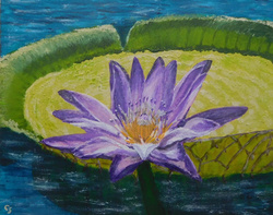 Painting: Victoria Water Lily